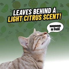 Ghosted Pet Odor Eliminator