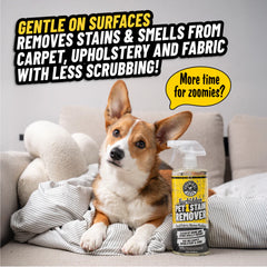 Furbidden Pet Stain Remover