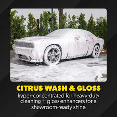 ProFlow Clean & Shine Bundle